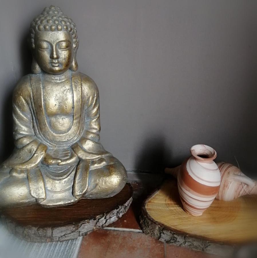 Bed and Breakfast Jacuzzi Massage Sur Rdv,Duo,Reiki,Californien, Reflexologie Plantaire, Et Bouteille Mousseux Offerte Ferolles Экстерьер фото