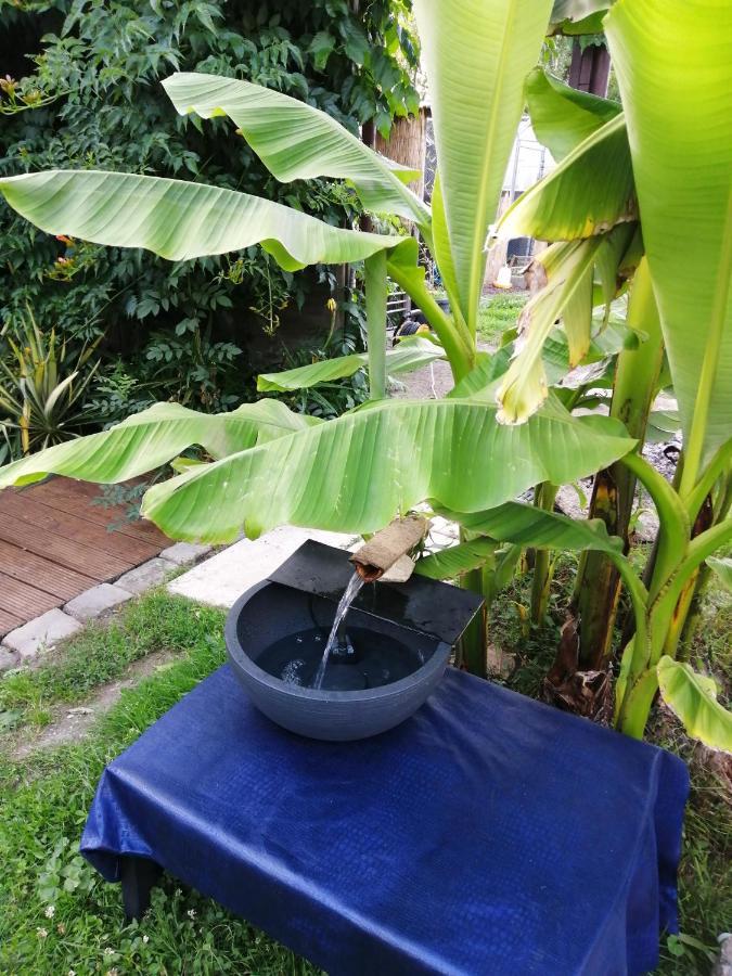 Bed and Breakfast Jacuzzi Massage Sur Rdv,Duo,Reiki,Californien, Reflexologie Plantaire, Et Bouteille Mousseux Offerte Ferolles Экстерьер фото